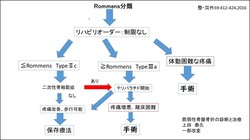 分類FFPプロトコール上田（枠線）.jpg