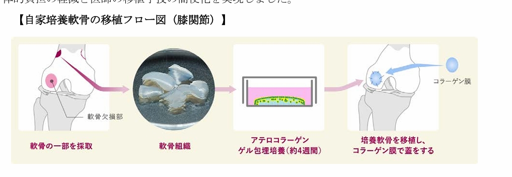 ジャックフローチャート.jpeg