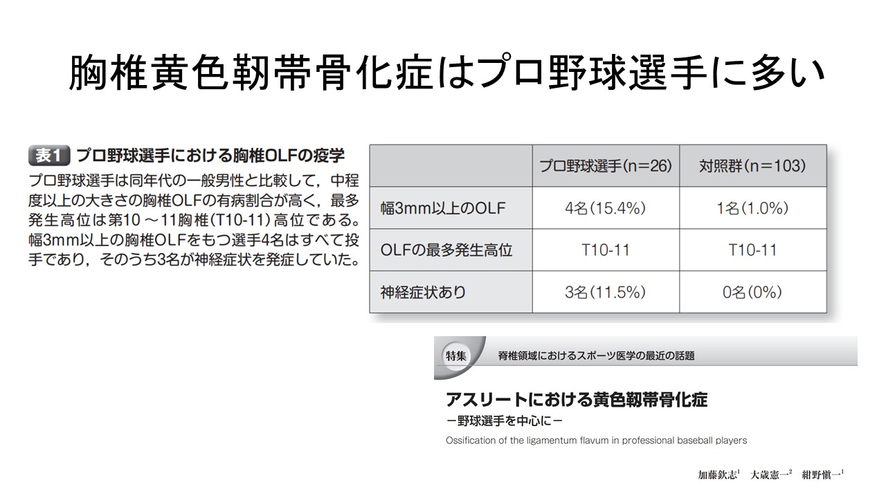 プロ野球選手OYLデータ.JPG