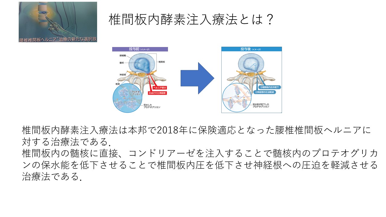 ヘルニコアとは.jpg