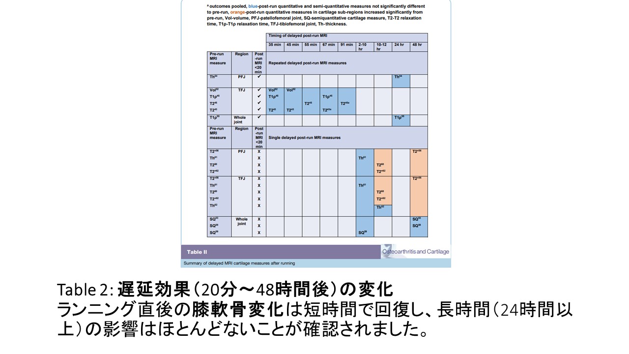 ランニングと膝軟骨.JPG