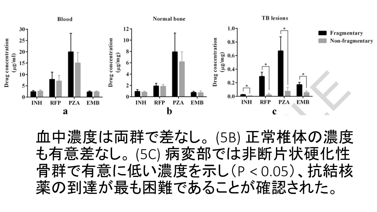 抗結核薬.JPG