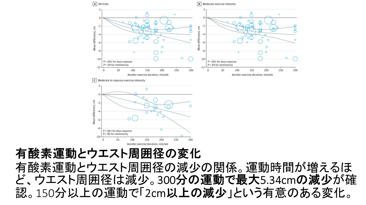 有酸素運動ダイエットfig2.JPG