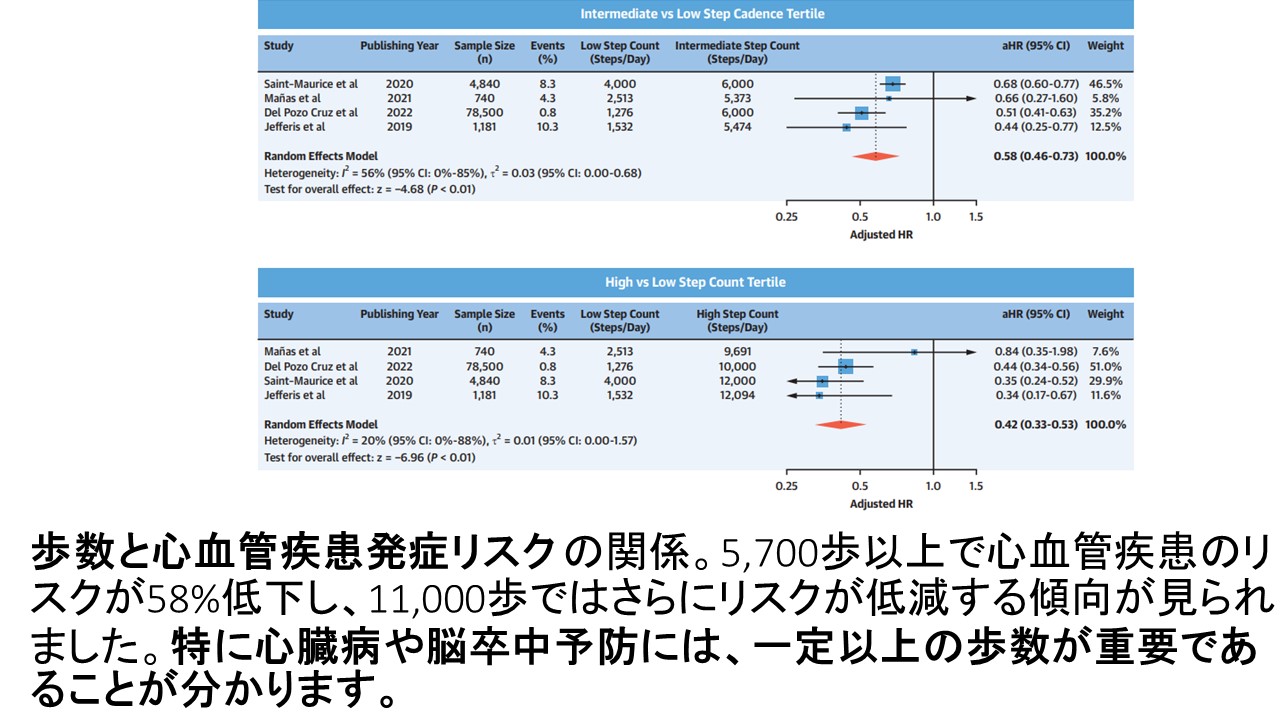 歩数と健康fig３.JPG