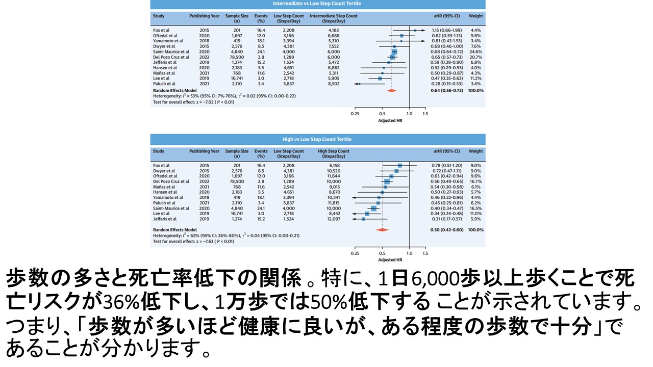 歩数と健康fig2.JPG