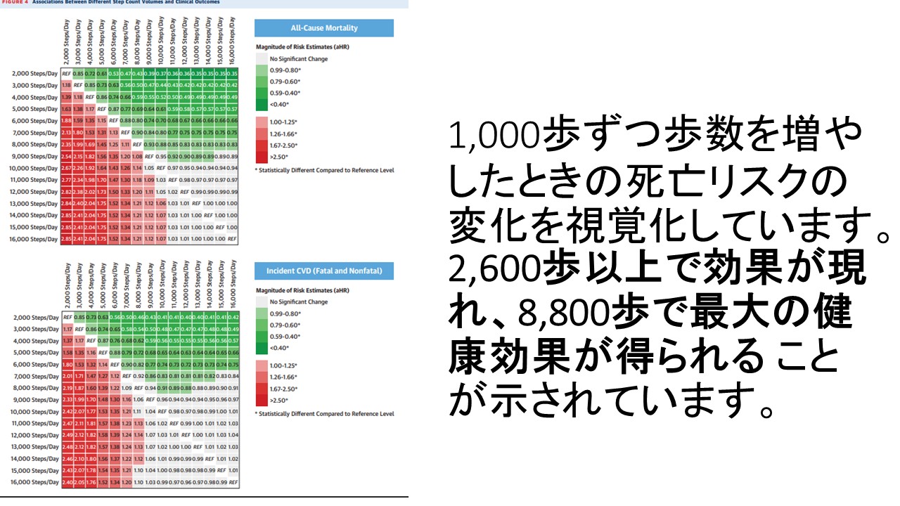 歩数と健康fig4.JPG