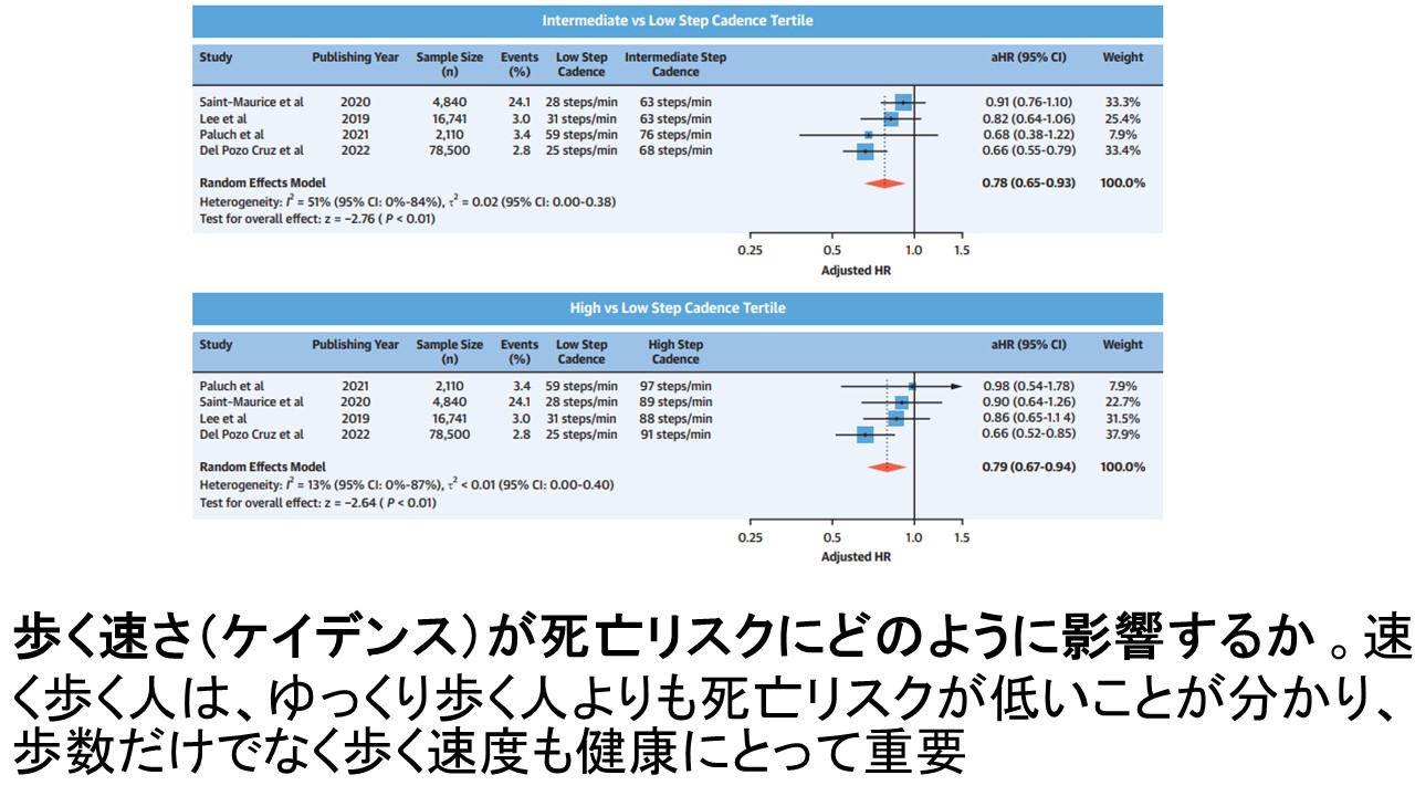 歩数と健康fig5.JPG