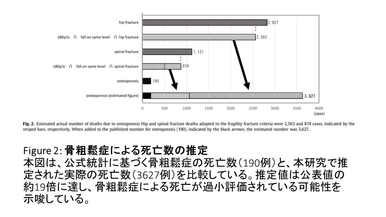 脆弱性骨折死亡率19倍.jpg