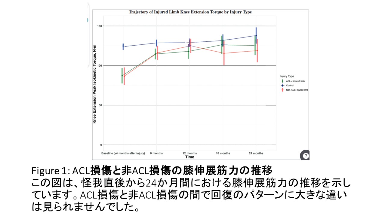 膝怪我とリハビリfig1.JPG