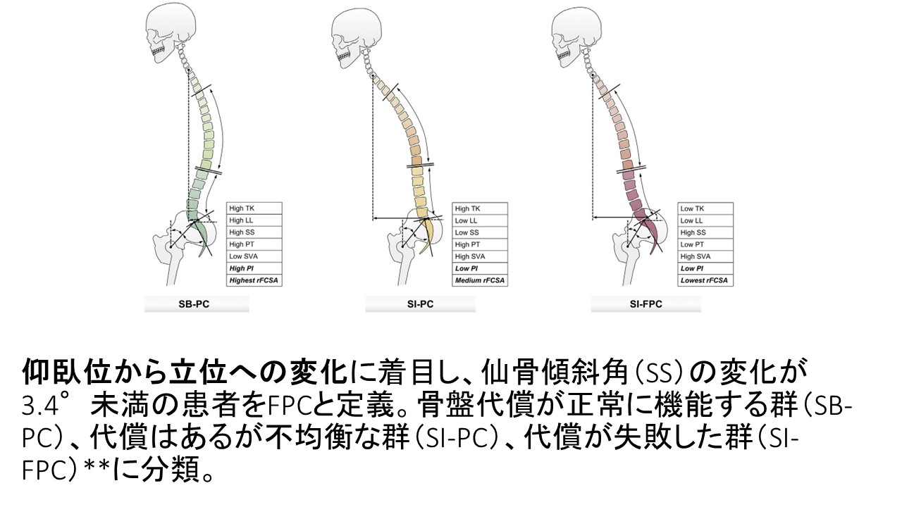 機能解剖学に基づいた腰痛の評価と治療 機能解剖学に基づいた腰痛の評価と治療【DVD3枚組・分売不可