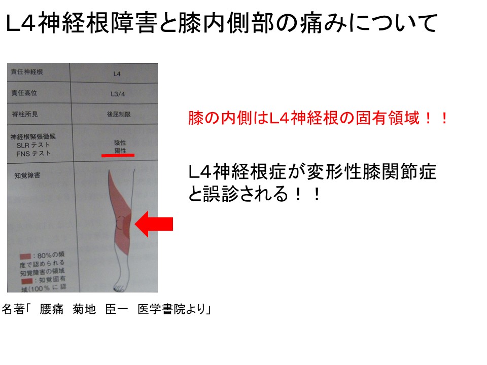 L4神経根症.jpg