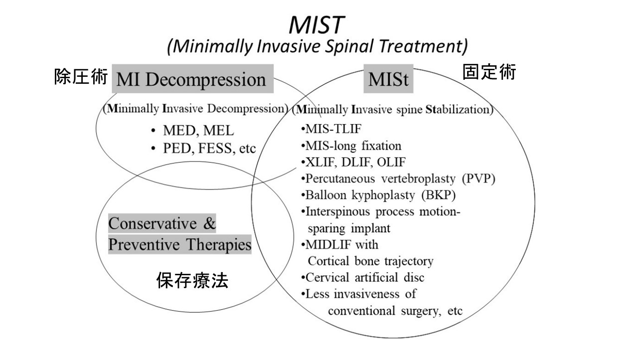 MISTシェーマ.JPG