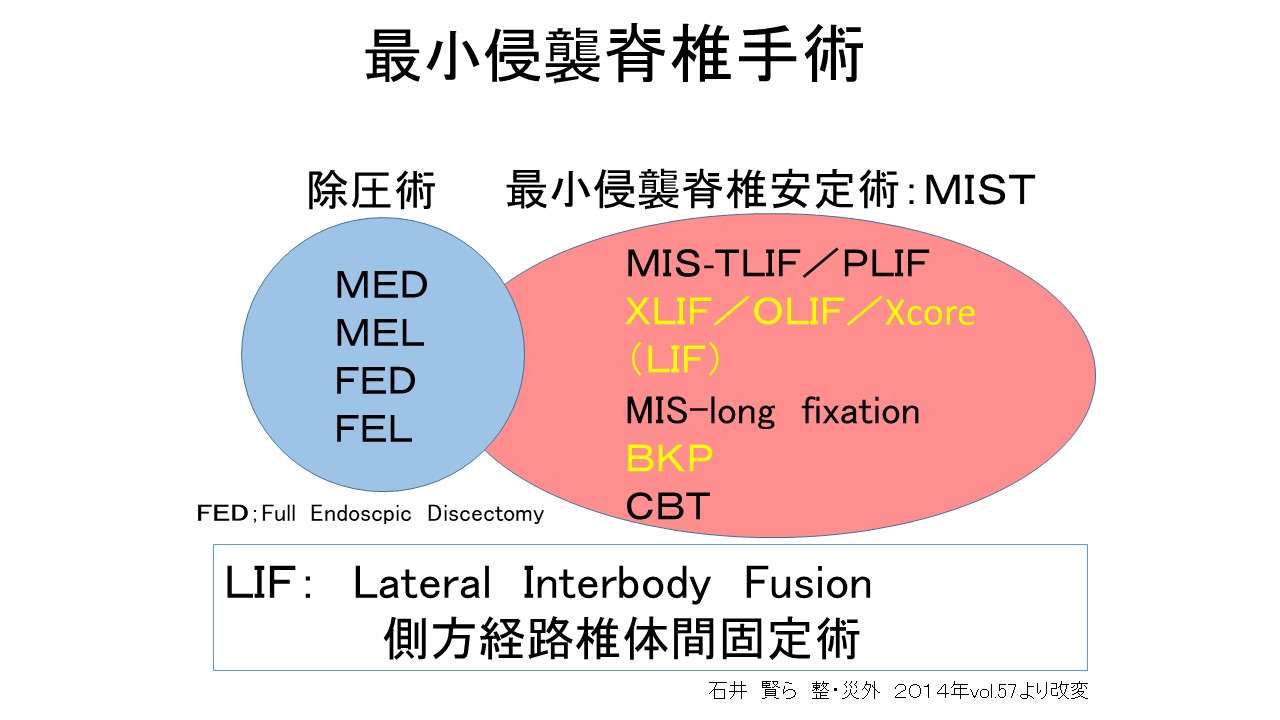 MIST図.JPG