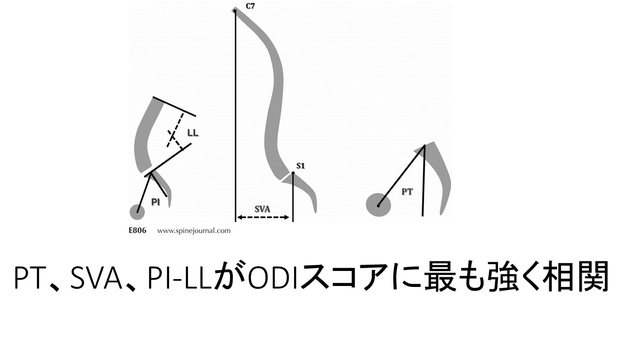 重心バランス軸調整療法 I 重心バランス軸調整療法 I.姿勢と重心バランス制御