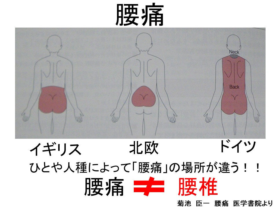 特殊消防隊 腰痛・下肢痛の診断と治療 骨盤と腰椎、股関節の関係を診る