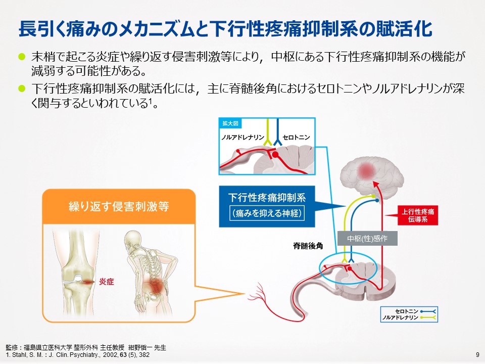 慢性痛を軽減する運動療法：科学的根拠に基づく最新ガイド ｜ 成