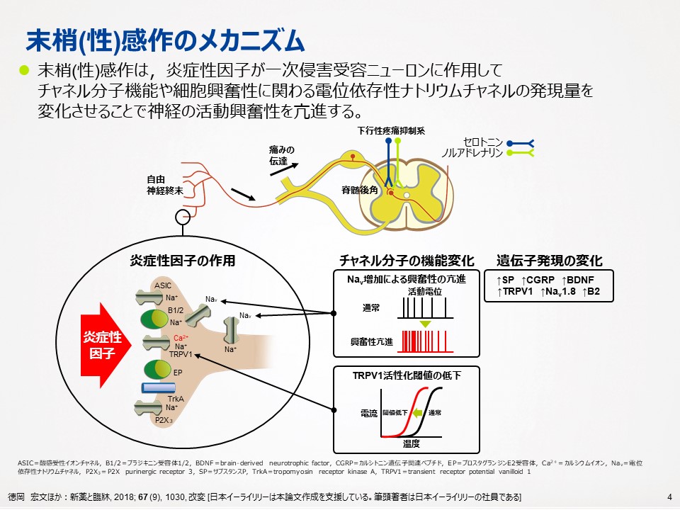 慢性痛を軽減する運動療法：科学的根拠に基づく最新ガイド ｜ 成