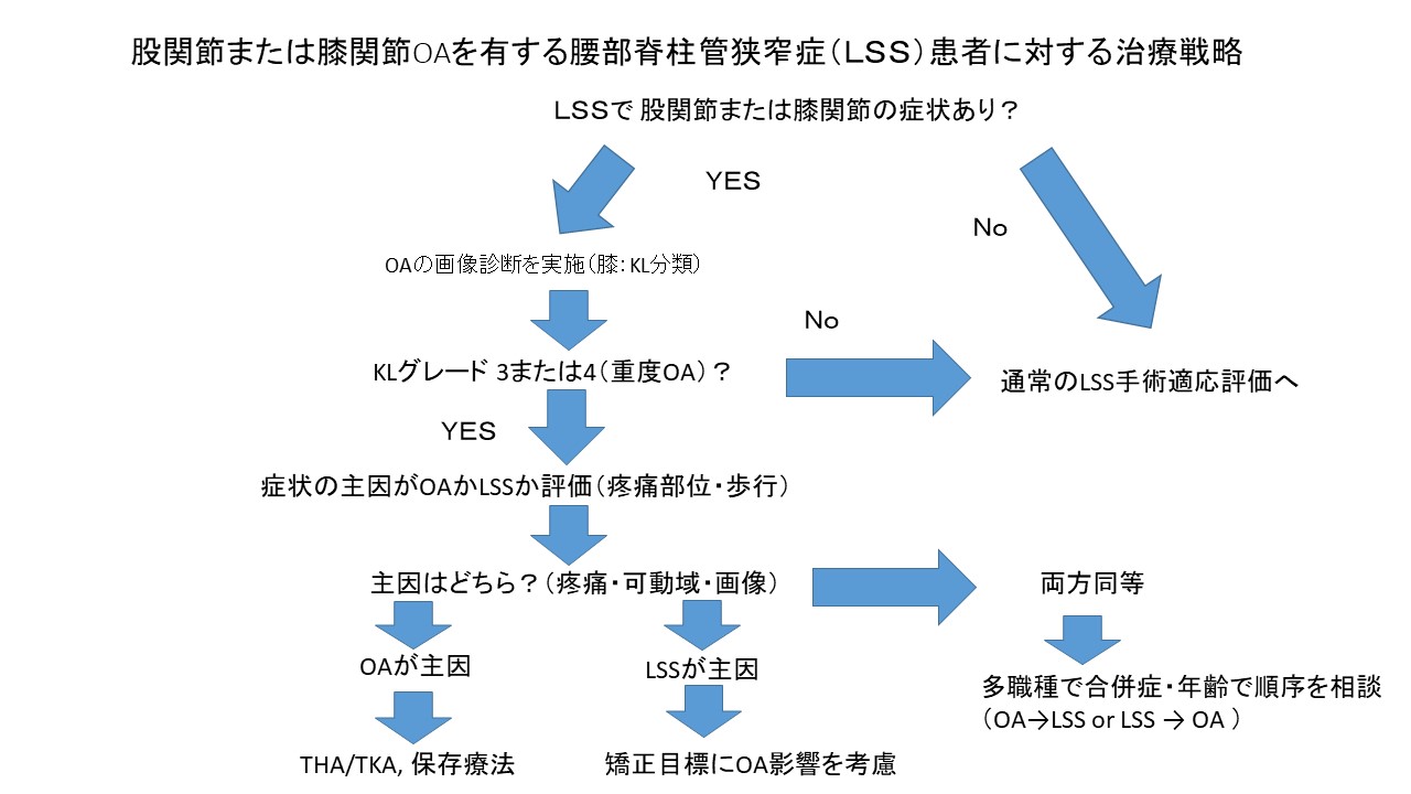 変形性股関節症の保存的治療戦略 ～対症療法・原因療法から考える～ 変形性股関節症・膝関節症の治療方針｜佐久市立国保浅間総合病院
