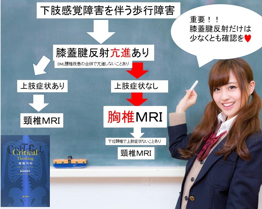 胸椎疾患は見逃されやすい⁈ あなたの症状は本当に腰から？ ｜ 成尾整形