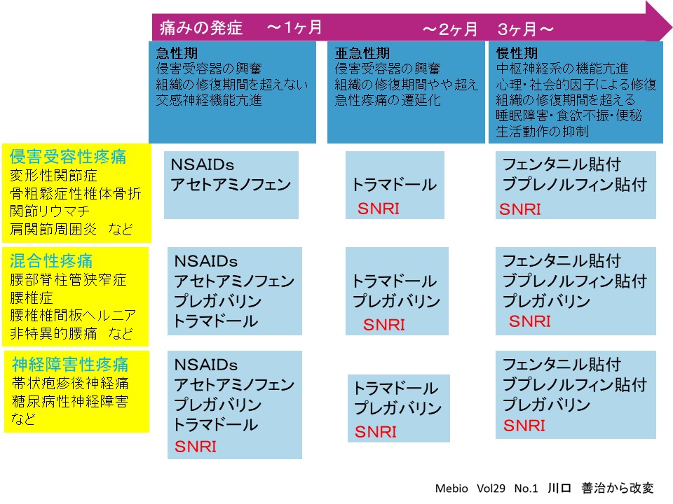 術後疼痛の最新ケア｜痛みを抑えて早く回復するための秘訣 ｜ 成尾整形