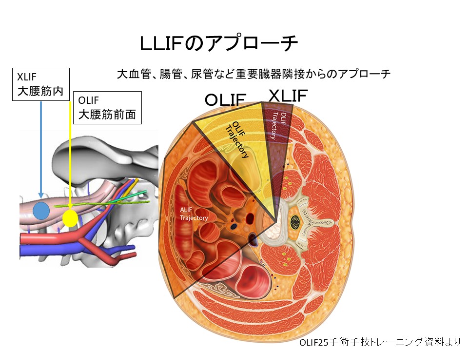 整形外科医のための神経学図説（原書第2版）: 書籍／南江堂
